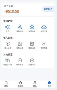 外面收费4980的男粉项目，一个作品变现1000+，新渠道新玩法，一部手机实现月入过万【揭秘】-风淘社