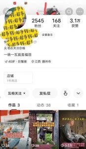 揭秘国学项目最新玩法,利用慈悲心疯狂敛财【揭秘】-风淘社