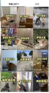 拆解:抖音盘点类中视频变现副业项目,视频版一条龙大解析分享给你-风淘社