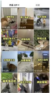 拆解抖音盘点类中视频变现副业项目,视频版一条龙大解析分享给你【视频课程】-风淘社