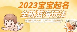抖音美女图文+音乐推广5.0版本,单日单号500+,0本0粉可矩阵,五分钟一个视频【揭秘】-风淘社