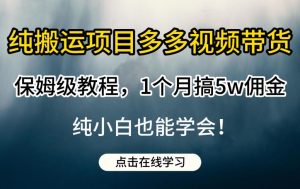 纯搬运项目多多视频带货保姆级教程,1个月搞5w佣金,纯小白也能学会【揭秘】-风淘社