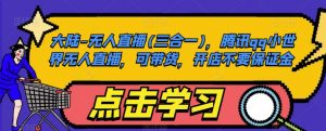 大陆-无人直播(三合一),腾讯qq小世界无人直播,可带货,开店不要保证金-风淘社