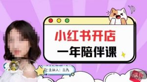 三九小红书开店一年陪伴课,从0到1玩赚小红书开店-风淘社