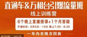 直通车&万相台引爆流量班,6天打通你开直通车·万相台的任督二脉-风淘社