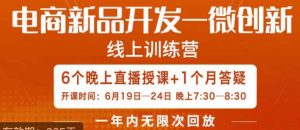 南掌柜·电商新品开发——微创新,电商新品微创新是你企业发展的护城河-风淘社