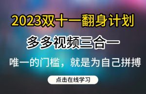 2023双十一翻身计划,多多视频带货三合一玩法教程【揭秘】-风淘社
