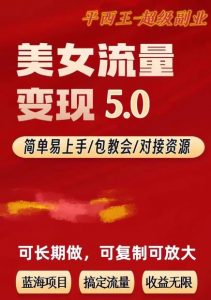 TK美女短视频变现项目无限复制（升级版），全网最高性价比项目【揭秘】-风淘社