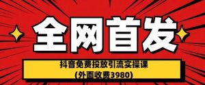 全网首发:抖音免费投放引流实操课(外面收费3980)【揭秘】-风淘社