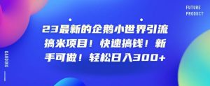 23最新的企鹅小世界引流搞米项目!快速搞钱!新手可做!轻松日入300+【揭秘】-风淘社