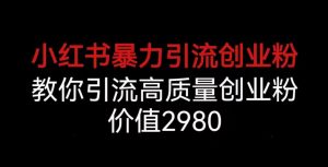 小红书暴力引流创业粉，教你引流高质量创业粉，价值2980【揭秘】-风淘社