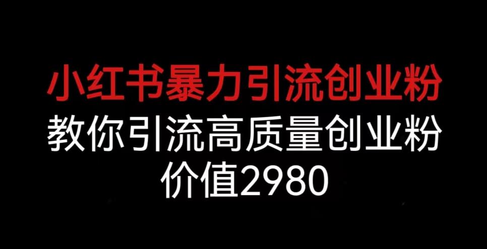 小红书暴力引流创业粉，教你引流高质量创业粉，价值2980【揭秘】-风淘社