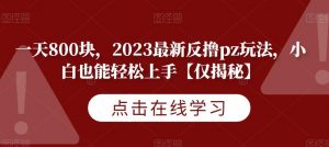 一天800块,2023最新反撸pz玩法,小白也能轻松上手【仅揭秘】-风淘社