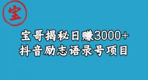 宝哥揭秘日赚3000+抖音励志语录号短视频变现项目-风淘社