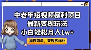 中老年短视频暴利项目最新变现玩法，小白轻松月入1w+【揭秘】-风淘社