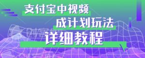 避坑玩法:支付宝中视频分成计划玩法实操详解【揭秘】-风淘社