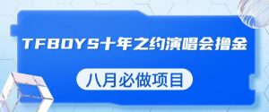最新蓝海项目,靠最近非常火的TFBOYS十年之约演唱会流量掘金,八月必做的项目【揭秘】-风淘社