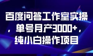 百度问答工作室实操,单号月产3000+,纯小白操作项目【揭秘】-风淘社
