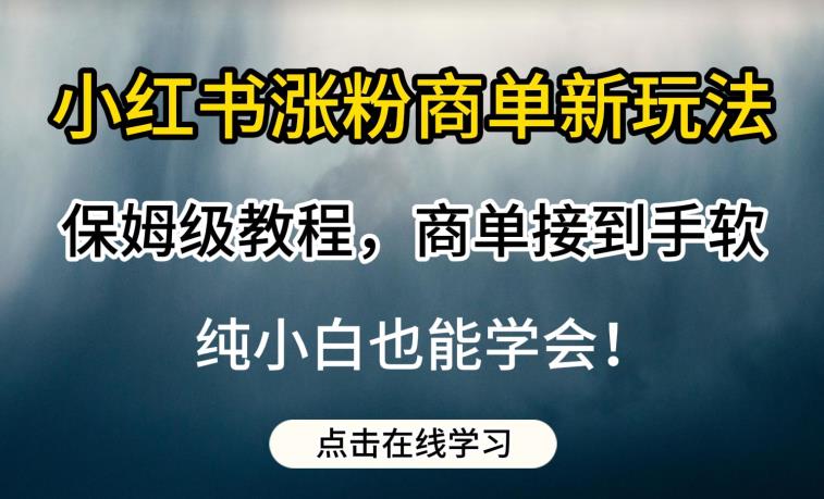 小红书涨粉商单新玩法,保姆级教程,商单接到手软,纯小白也能学会【揭秘】-风淘社