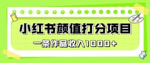 最新蓝海项目,小红书颜值打分项目,一条作品收入1000+【揭秘】-风淘社