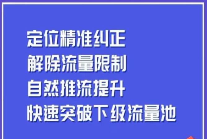 同城账号付费投放运营优化提升,定位精准纠正,解除流量限制,自然推流提升,极速突破下级流量池-风淘社