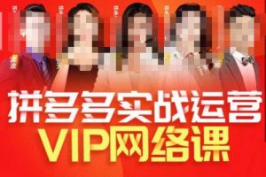 推易拼多多VIP全套直播课程，拼多多店铺实操玩法+实战玩法选款内功+直通车高阶等-风淘社