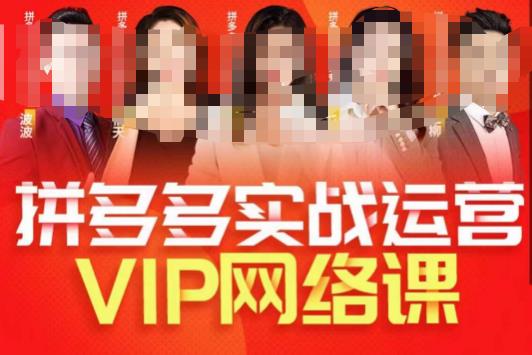 推易拼多多VIP全套直播课程,拼多多店铺实操玩法+实战玩法选款内功+直通车高阶等-风淘社