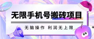 无脑搬砖项目-无限接码撸红包收益无上限【揭秘】-风淘社