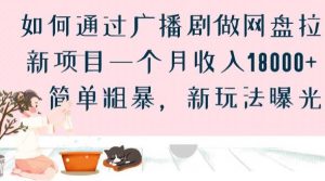 如何通过广播剧做网盘拉新项目一个月收入18000+，简单粗暴，新玩法曝光【揭秘】-风淘社