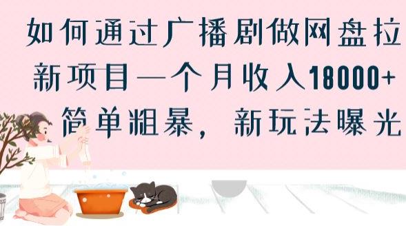 如何通过广播剧做网盘拉新项目一个月收入18000+，简单粗暴，新玩法曝光【揭秘】-风淘社