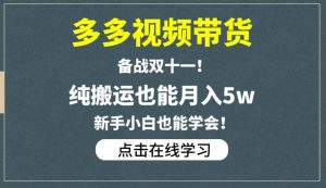 多多视频带货，备战双十一，纯搬运也能月入5w，新手小白也能学会-风淘社
