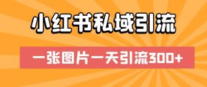 小红书私域引流,一张图片一天引流300+【揭秘】-风淘社