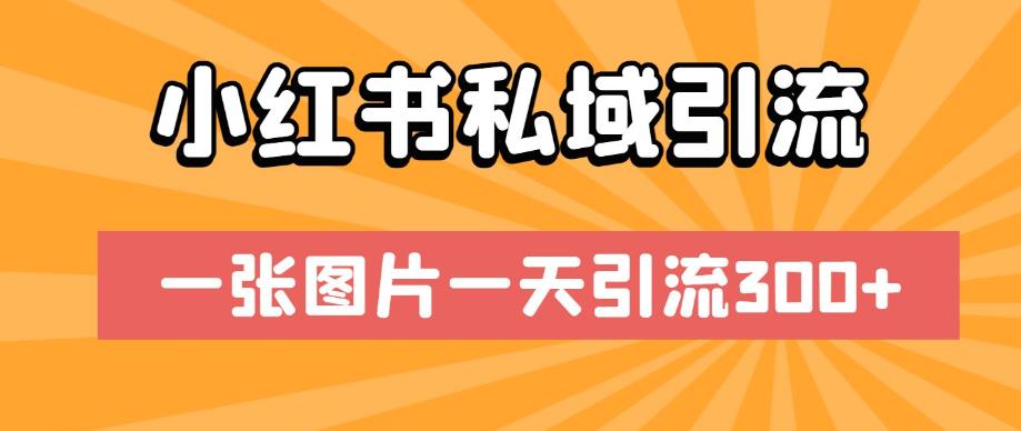 小红书私域引流,一张图片一天引流300+【揭秘】-风淘社