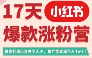17天小红书爆款涨粉营(广告变现方向),教你打造小红书博主IP、接广告变现的-风淘社