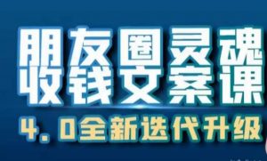 朋友圈灵魂收钱文案课,打造自己24小时收钱的ATM机朋友圈-风淘社
