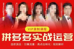 2023推易拼多多实战运营,选款测品、引爆流量、高点击转化、规则解析-风淘社