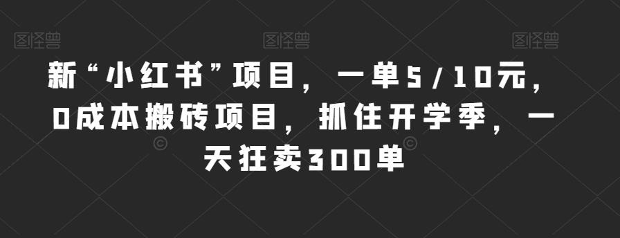 新“小红书”项目,一单5/10元,0成本搬砖项目,抓住开学季,一天狂卖300单【揭秘】-风淘社