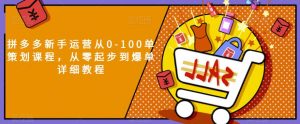 拼多多新手运营从0-100单策划课程,从零起步到爆单详细教程-风淘社