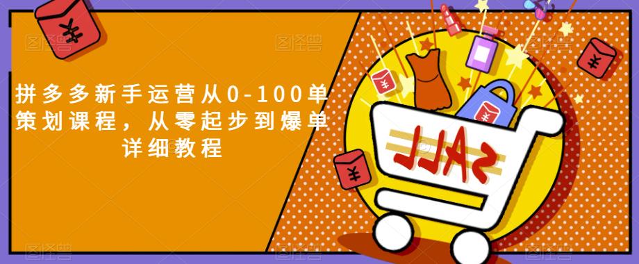 拼多多新手运营从0-100单策划课程,从零起步到爆单详细教程-风淘社