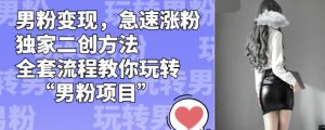 男粉变现，急速涨粉独家二创方法，全套流程教你玩转“男粉项目”【揭秘】-风淘社