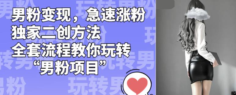 男粉变现，急速涨粉独家二创方法，全套流程教你玩转“男粉项目”【揭秘】-风淘社