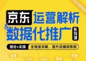 京东运营解析与数据化推广系列课,全维度讲解京东运营逻辑+数据化推广提升店铺销售额-风淘社