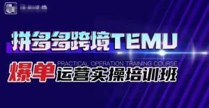 拼多多跨境TEMU爆单运营实操培训班，海外拼多多的选品、运营、爆单-风淘社