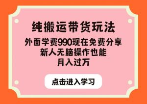 纯搬运带货玩法，外面学费990现在免费分享，新人无脑操作也能月入过万【揭秘】-风淘社