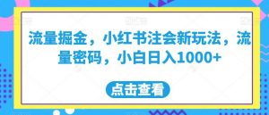 流量掘金,小红书注会新玩法,流量密码,小白日入1000+【揭秘】-风淘社