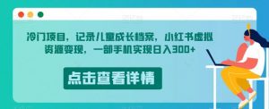 冷门项目,记录儿童成长档案,小红书虚拟资源变现,一部手机实现日入300+【揭秘】-风淘社