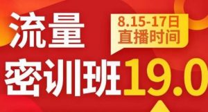 秋秋线上流量密训班19.0,打通流量关卡,线上也能实战流量破局-风淘社