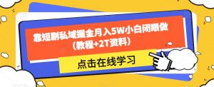 靠短剧私域掘金月入5W小白闭眼做(教程+2T资料)-风淘社