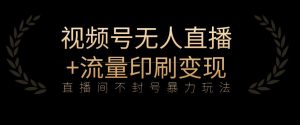 全网首发视频号不封号无人直播暴利玩法+流量印刷机变现,日入1000+【揭秘】-风淘社