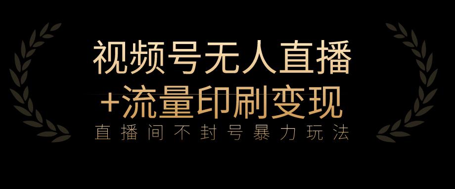 全网首发视频号不封号无人直播暴利玩法+流量印刷机变现,日入1000+【揭秘】-风淘社